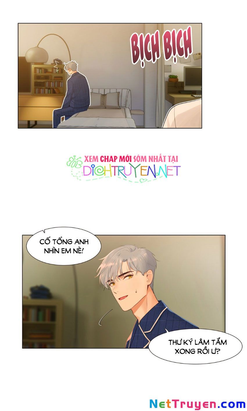 Đâu Phải Tại Tui Muốn Giả Gái Chapter 31 - Trang 2