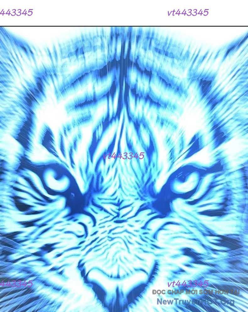 Đấu Trường Chiến Đấu Chapter 51 - Trang 2