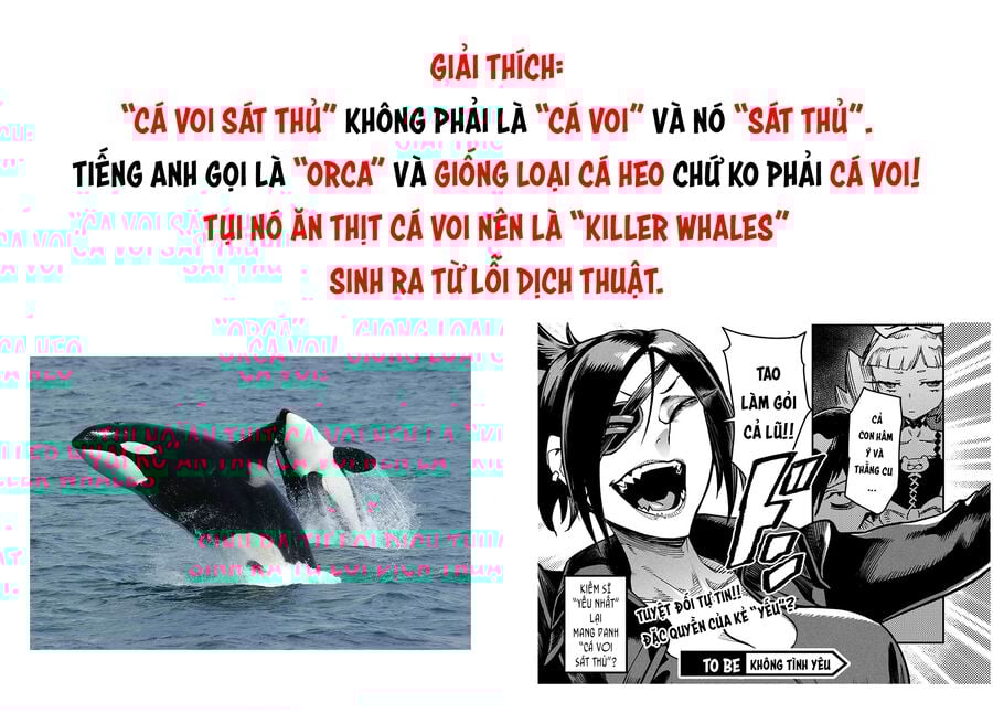 Đấu Trường Chuyển Sinh Chapter 27 - Trang 2