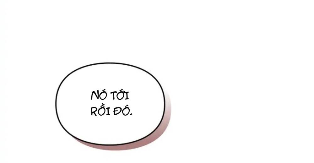 Dấu Vết Mặt Trời Chapter 15 - Trang 2