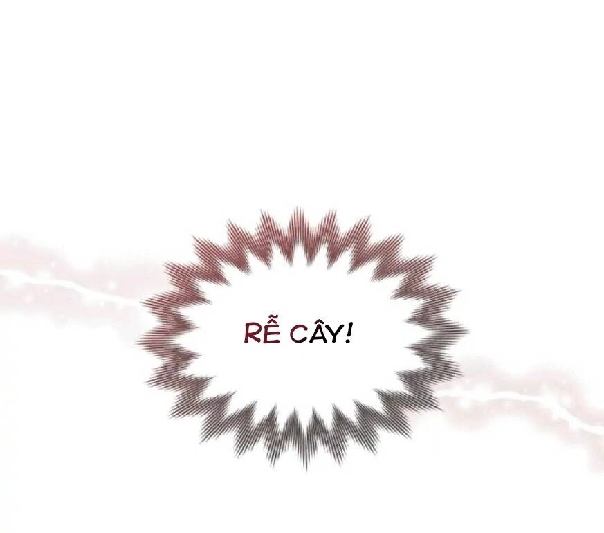 Dấu Vết Mặt Trời Chapter 15 - Trang 2