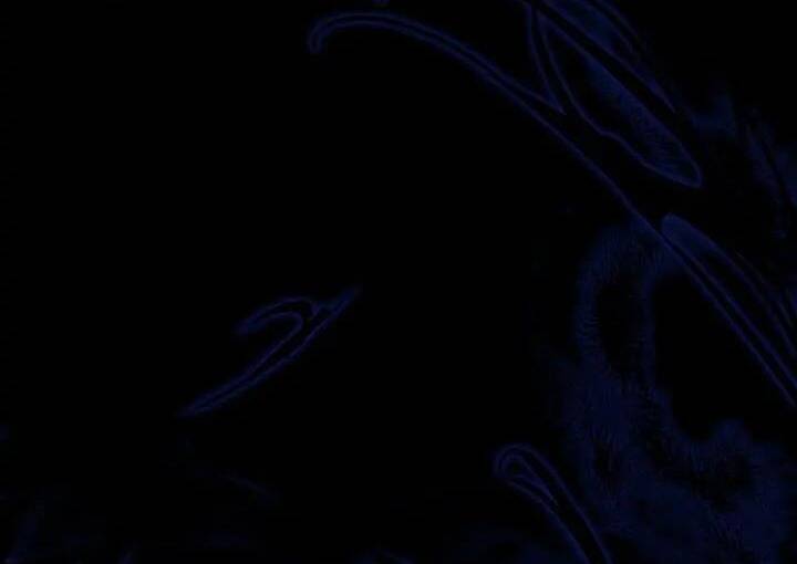 Dấu Vết Mặt Trời Chapter 49 - Trang 2