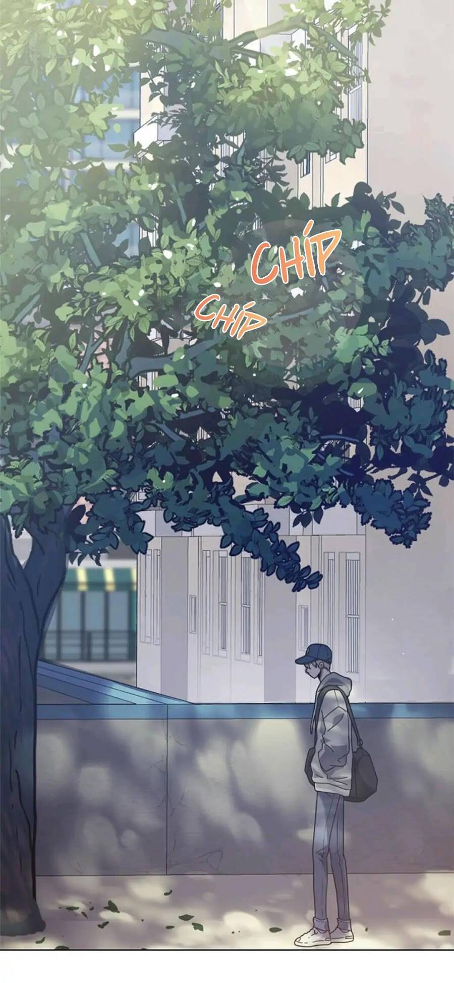 Dấu Vết Mặt Trời Chapter 6 - Trang 2