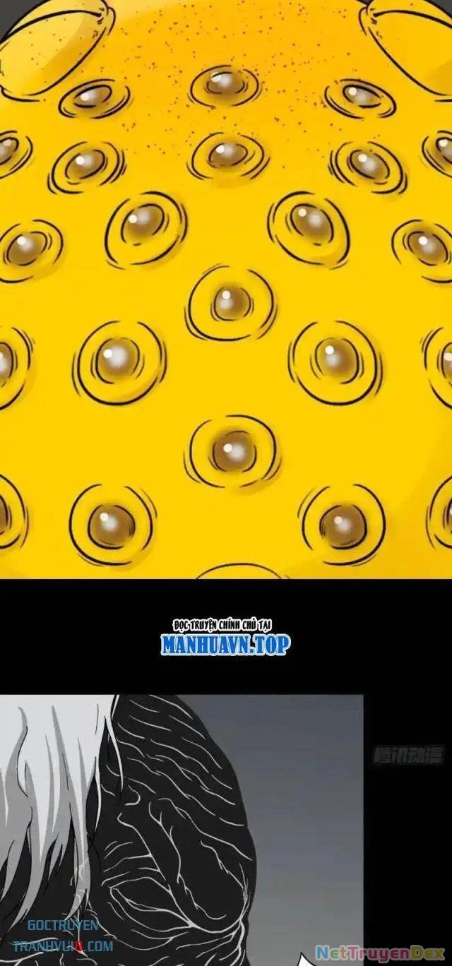 Đấu Yếm Thần Chapter 220 - Trang 2