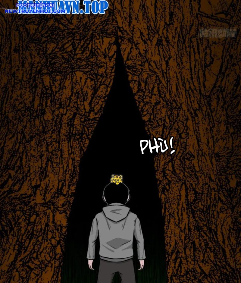 Đấu Yếm Thần Chapter 241 - Trang 2