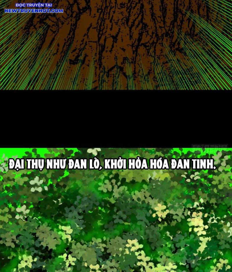 Đấu Yếm Thần Chapter 241 - Trang 2