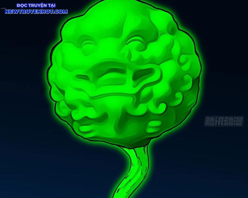 Đấu Yếm Thần Chapter 242 - Trang 2