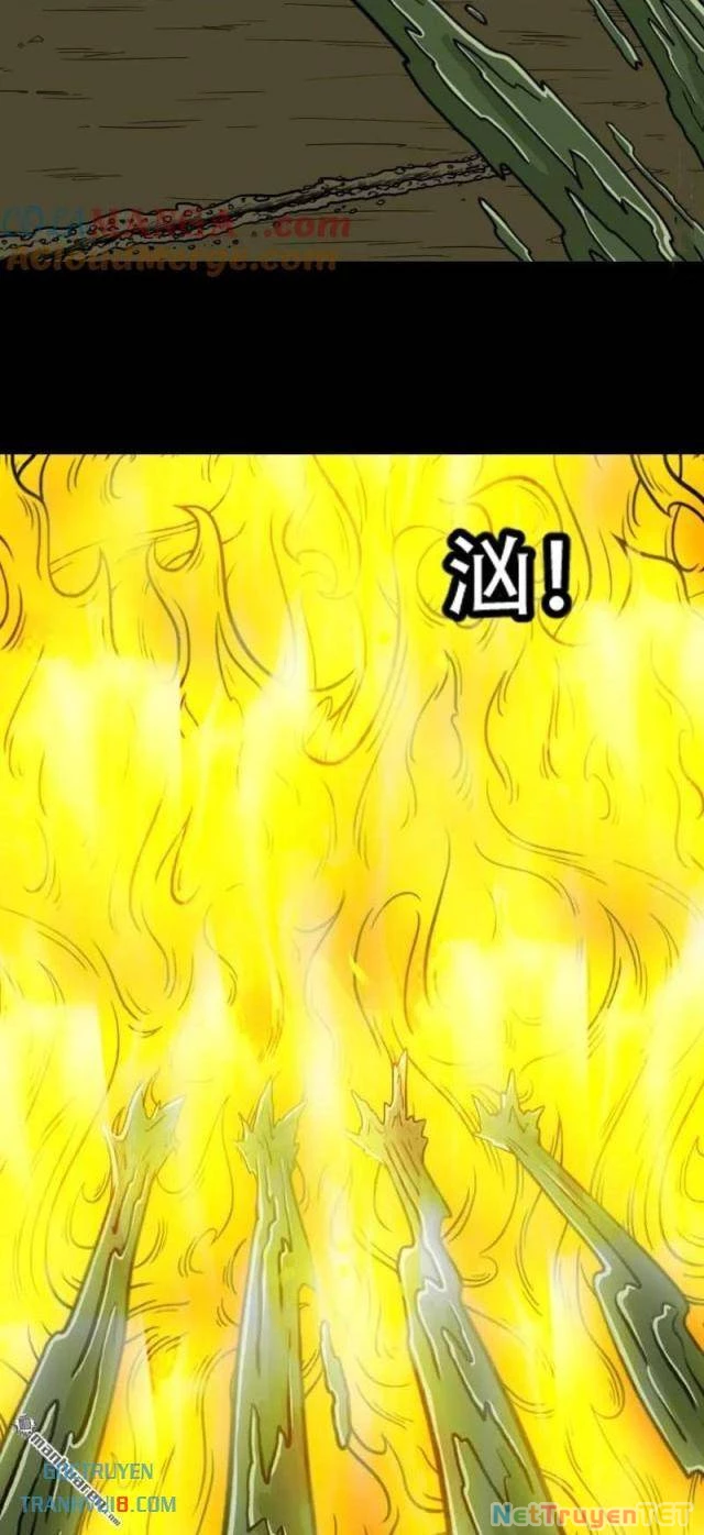 Đấu Yếm Thần Chapter 270 - Trang 2