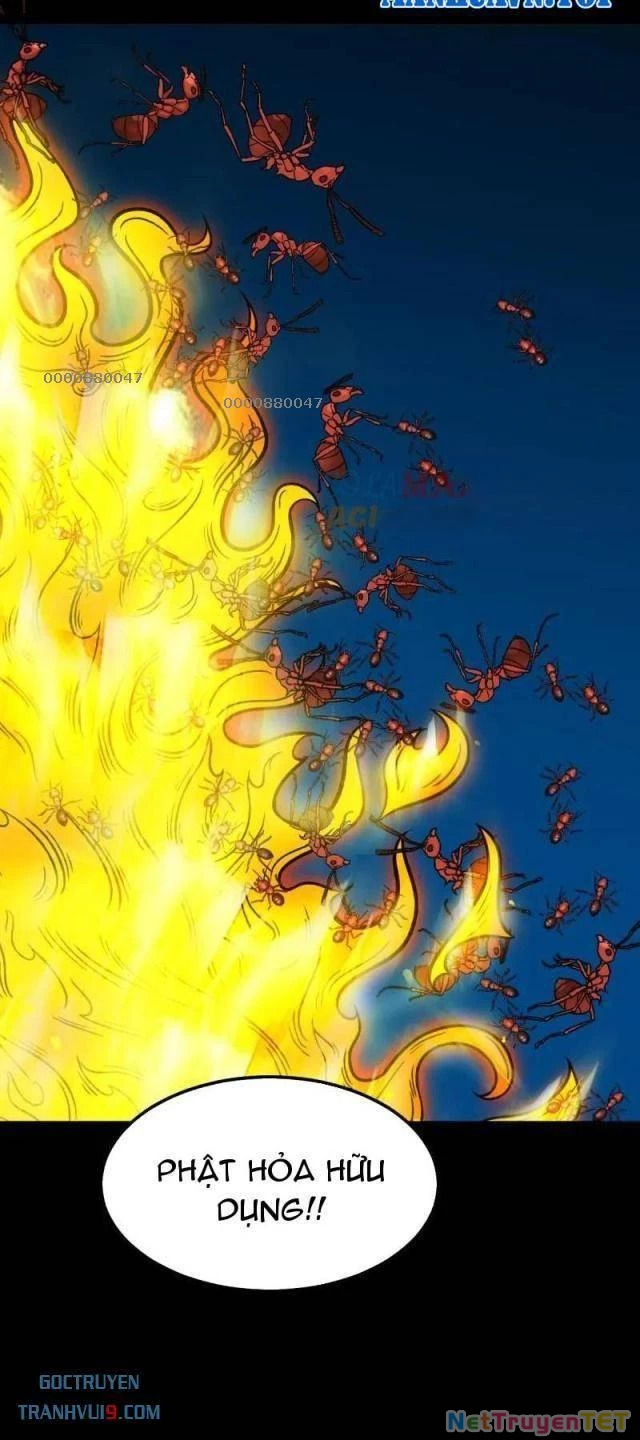 Đấu Yếm Thần Chapter 281 - Trang 2