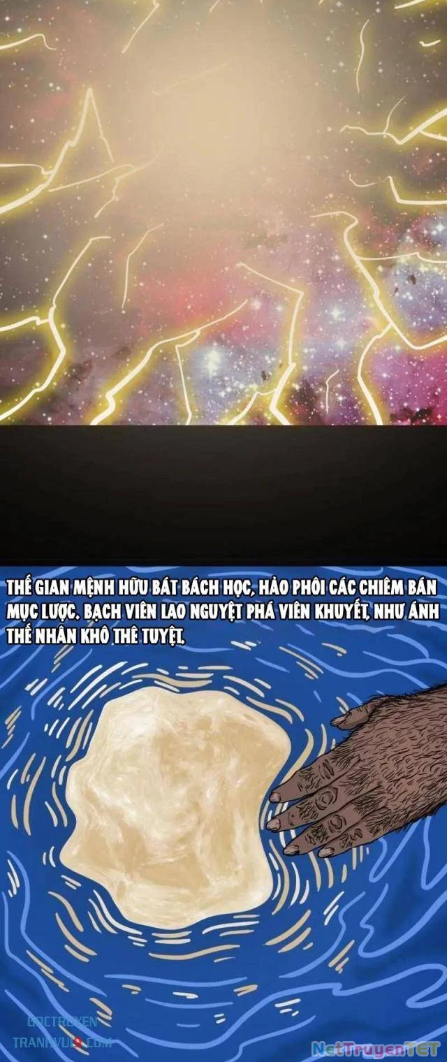 Đấu Yếm Thần Chapter 322 - Trang 2