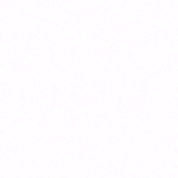 Đây Là Luật Chapter 37 - Trang 2