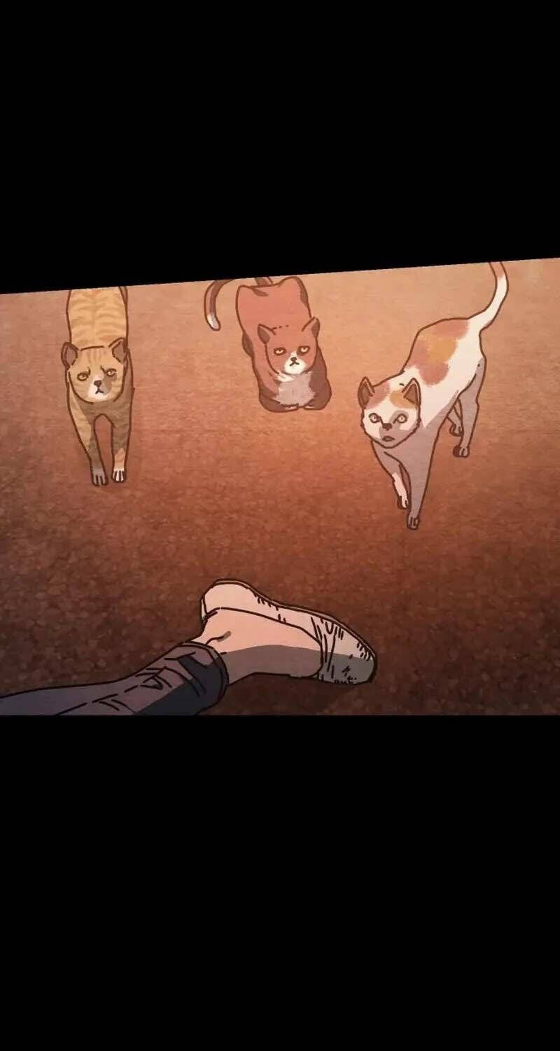 D-Day: Hầm Trú Ẩn Chapter 12 - Trang 2