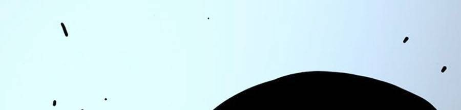 Để Có Thể Sống Sót Chapter 53 - Trang 2