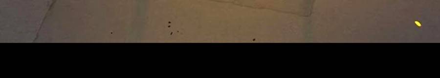 Để Có Thể Sống Sót Chapter 61 - Trang 2