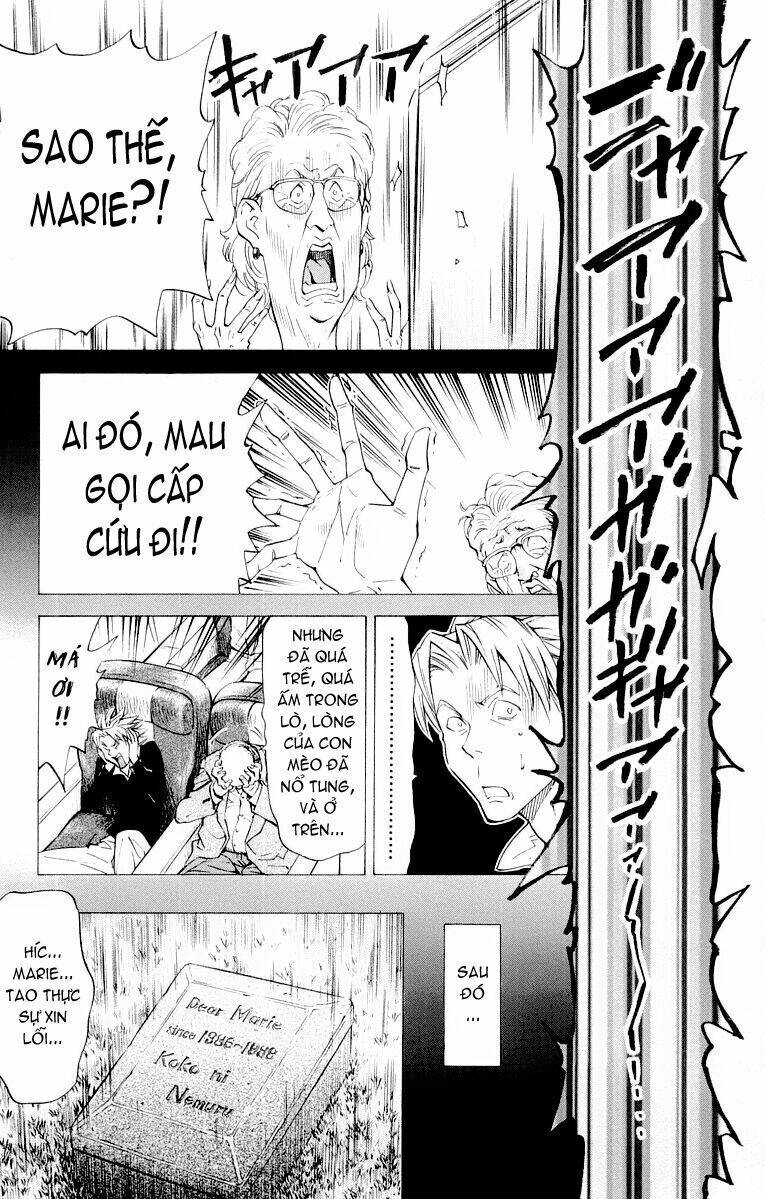 Đệ Nhất Bánh Mì Chapter 72 - Trang 2