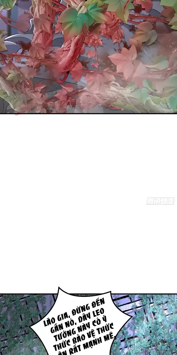 Đệ Nhất Danh Sách Chapter 322 - Trang 2