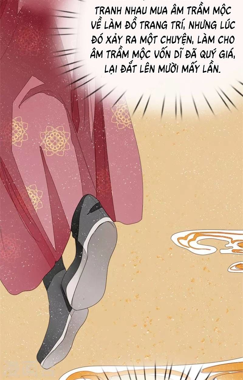 Đệ Nhất Hoàn Khố Chapter 17 - Trang 2