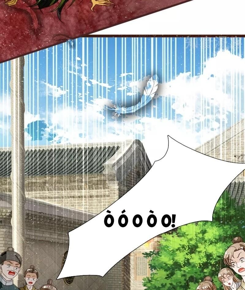 Đệ Nhất Hoàn Khố Chapter 90 - Trang 2