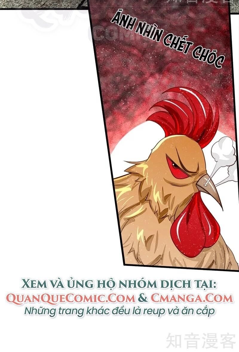 Đệ Nhất Hoàn Khố Chapter 95 - Trang 2