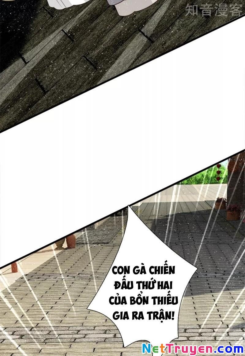 Đệ Nhất Hoàn Khố Chapter 97 - Trang 2