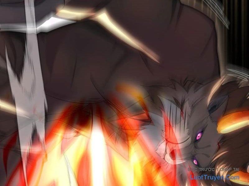 Đệ Nhất Ngự Thú Sư Chapter 91 - Trang 2
