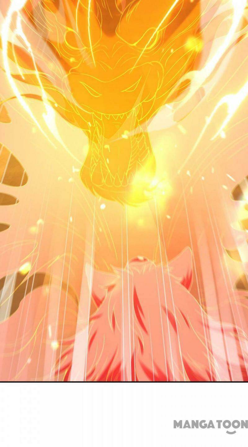 Đệ Nhất Người Ở Rể Chapter 123 - Trang 2