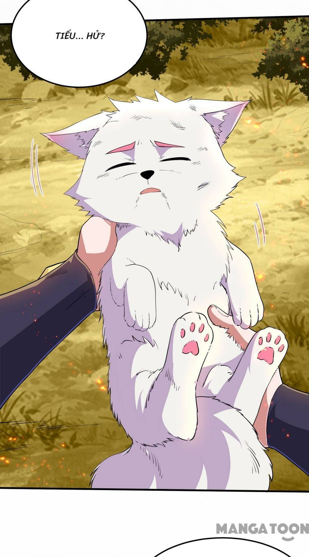 Đệ Nhất Người Ở Rể Chapter 251 - Trang 2