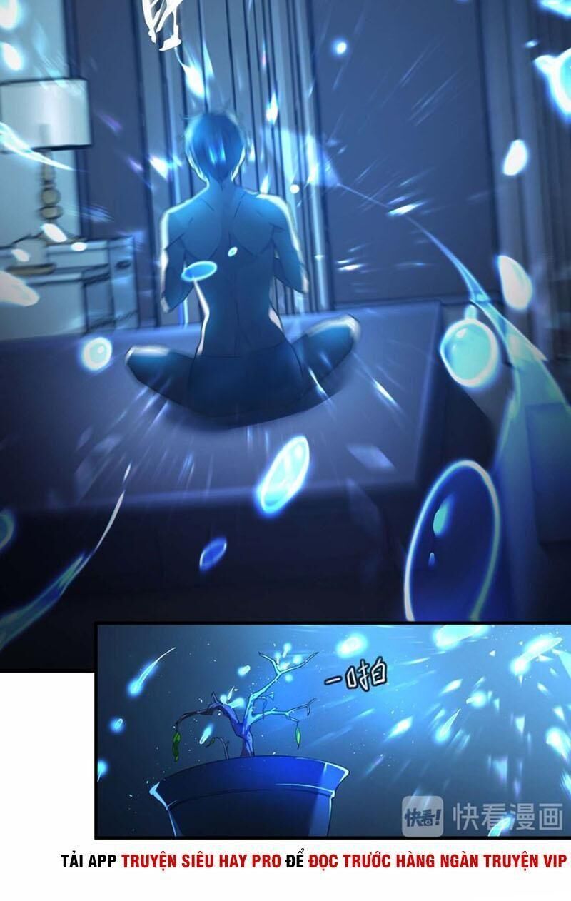 Đệ Nhất Ở Rể Chapter 1 - Trang 2