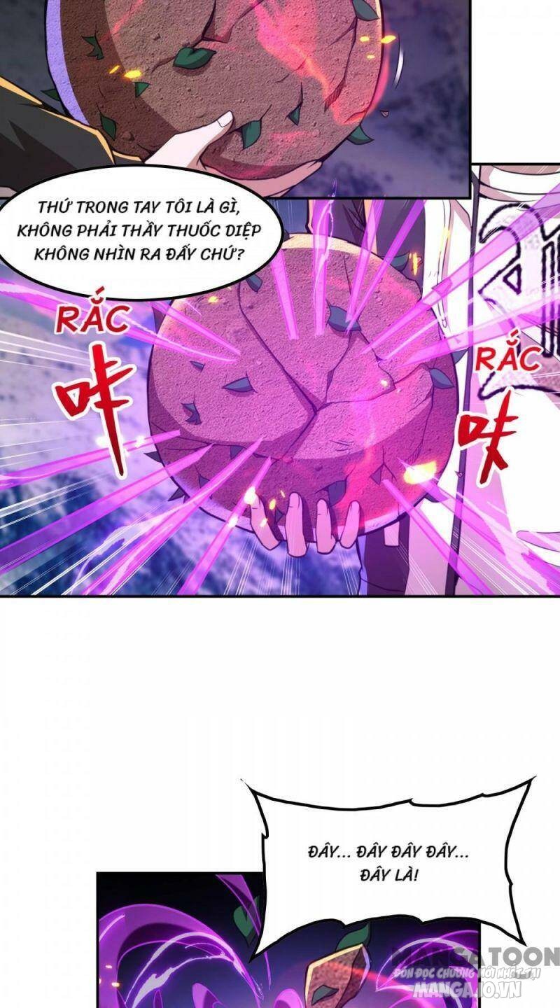 Đệ Nhất Ở Rể Chapter 120 - Trang 2