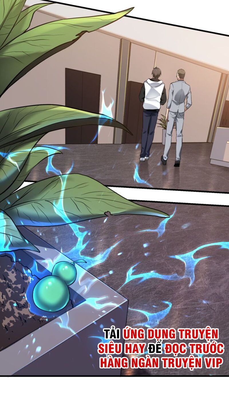 Đệ Nhất Ở Rể Chapter 20 - Trang 2