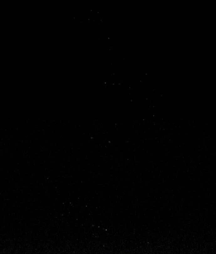 Đệ Nhất Võ Sư, Baek Cao Thủ Chapter 81 - Trang 2