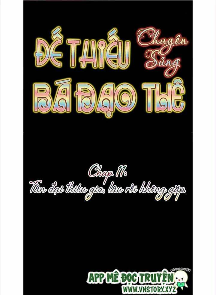 Đế Thiếu Chuyên Sủng Hắc Đạo Thê Chapter 11 - Trang 2