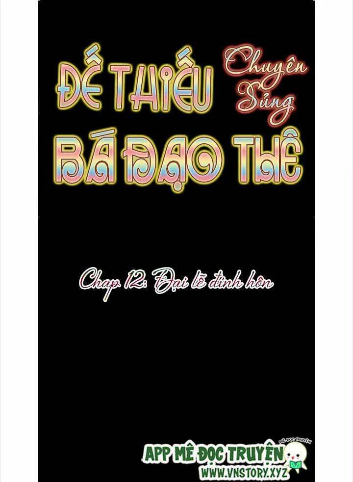 Đế Thiếu Chuyên Sủng Hắc Đạo Thê Chapter 12 - Trang 2