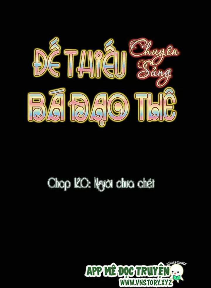 Đế Thiếu Chuyên Sủng Hắc Đạo Thê Chapter 120 - Trang 2