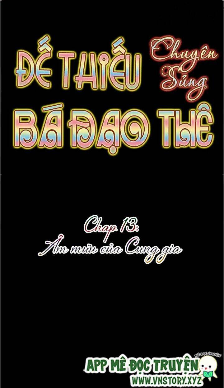 Đế Thiếu Chuyên Sủng Hắc Đạo Thê Chapter 13 - Trang 2