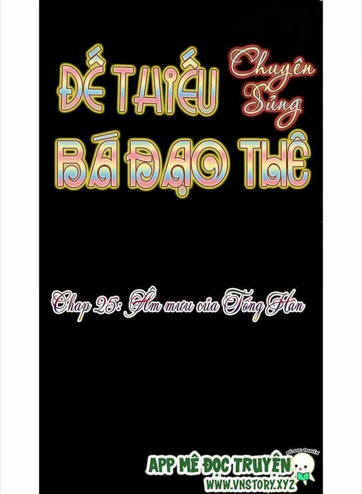 Đế Thiếu Chuyên Sủng Hắc Đạo Thê Chapter 25 - Trang 2