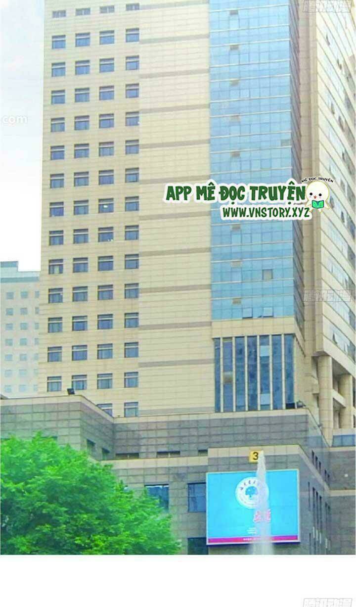 Đế Thiếu Chuyên Sủng Hắc Đạo Thê Chapter 51 - Trang 2