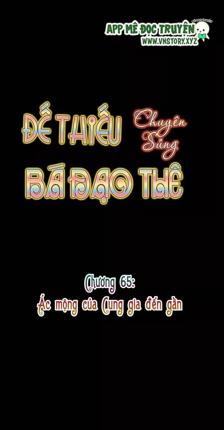 Đế Thiếu Chuyên Sủng Hắc Đạo Thê Chapter 65 - Trang 2