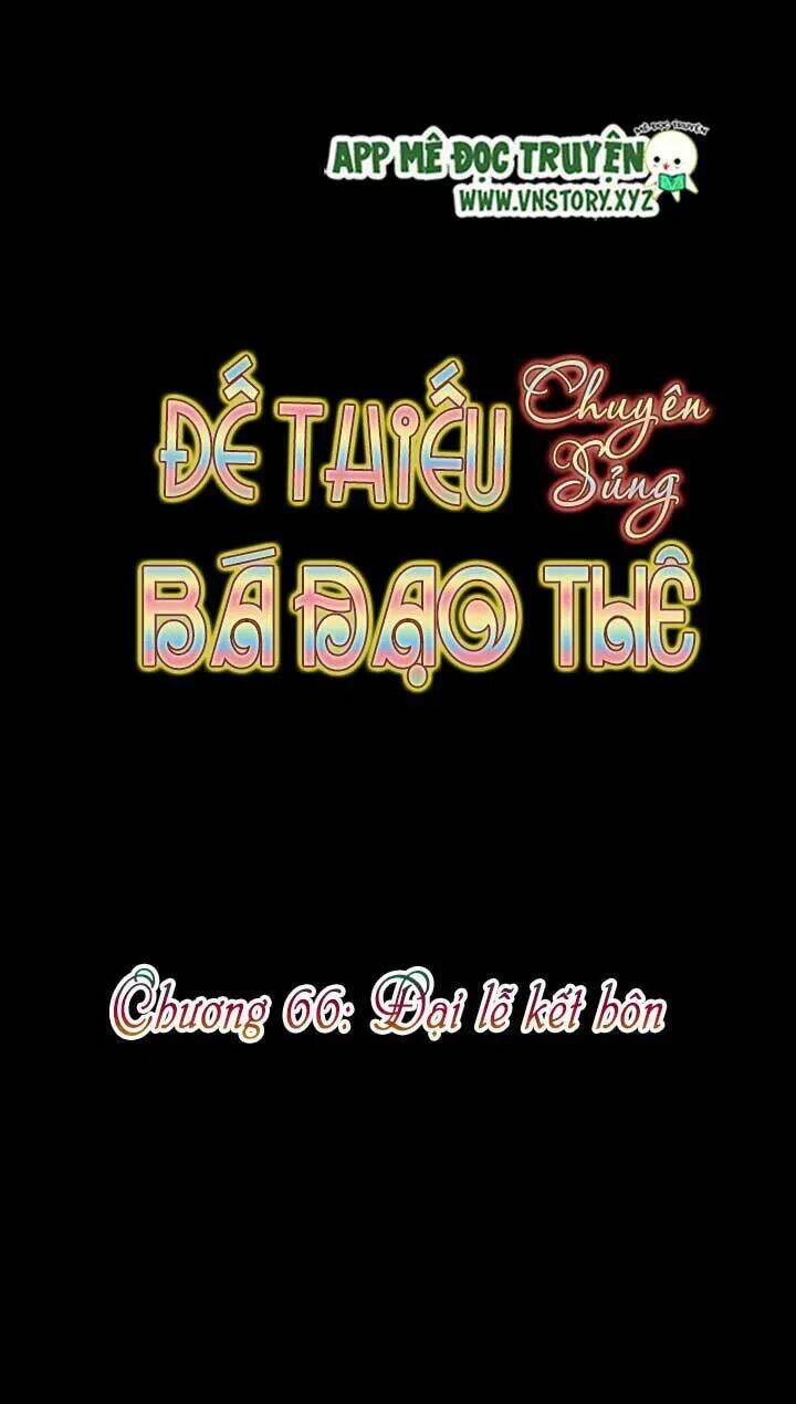 Đế Thiếu Chuyên Sủng Hắc Đạo Thê Chapter 66 - Trang 2