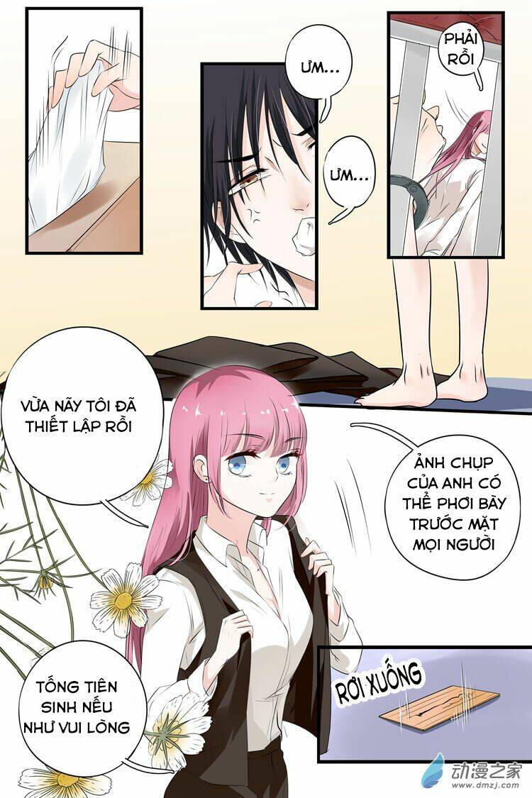 Đế Thiếu Đừng Mạnh Quá Chapter 1 - Trang 2