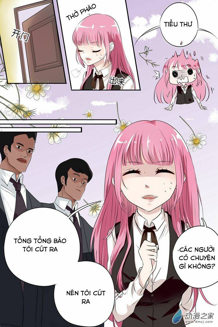 Đế Thiếu Đừng Mạnh Quá Chapter 1 - Trang 2