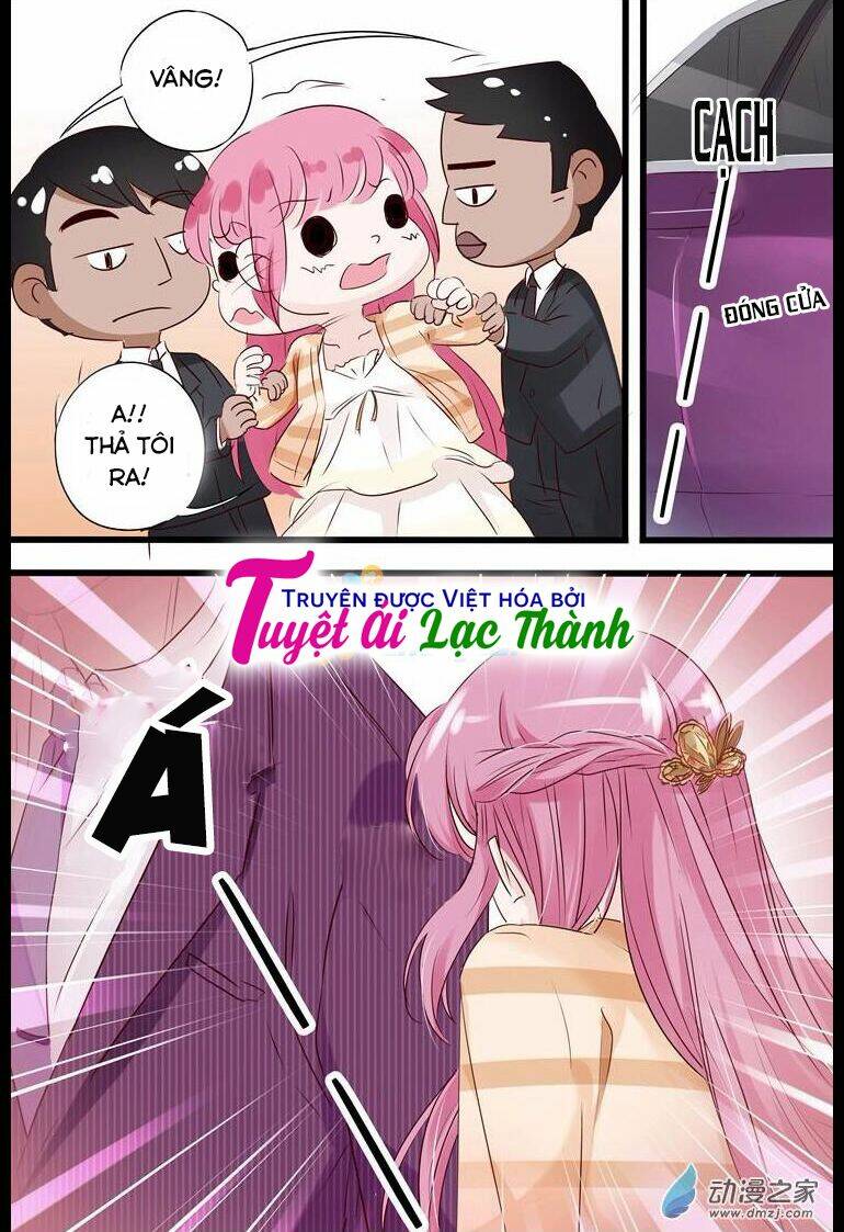 Đế Thiếu Đừng Mạnh Quá Chapter 12 - Trang 2