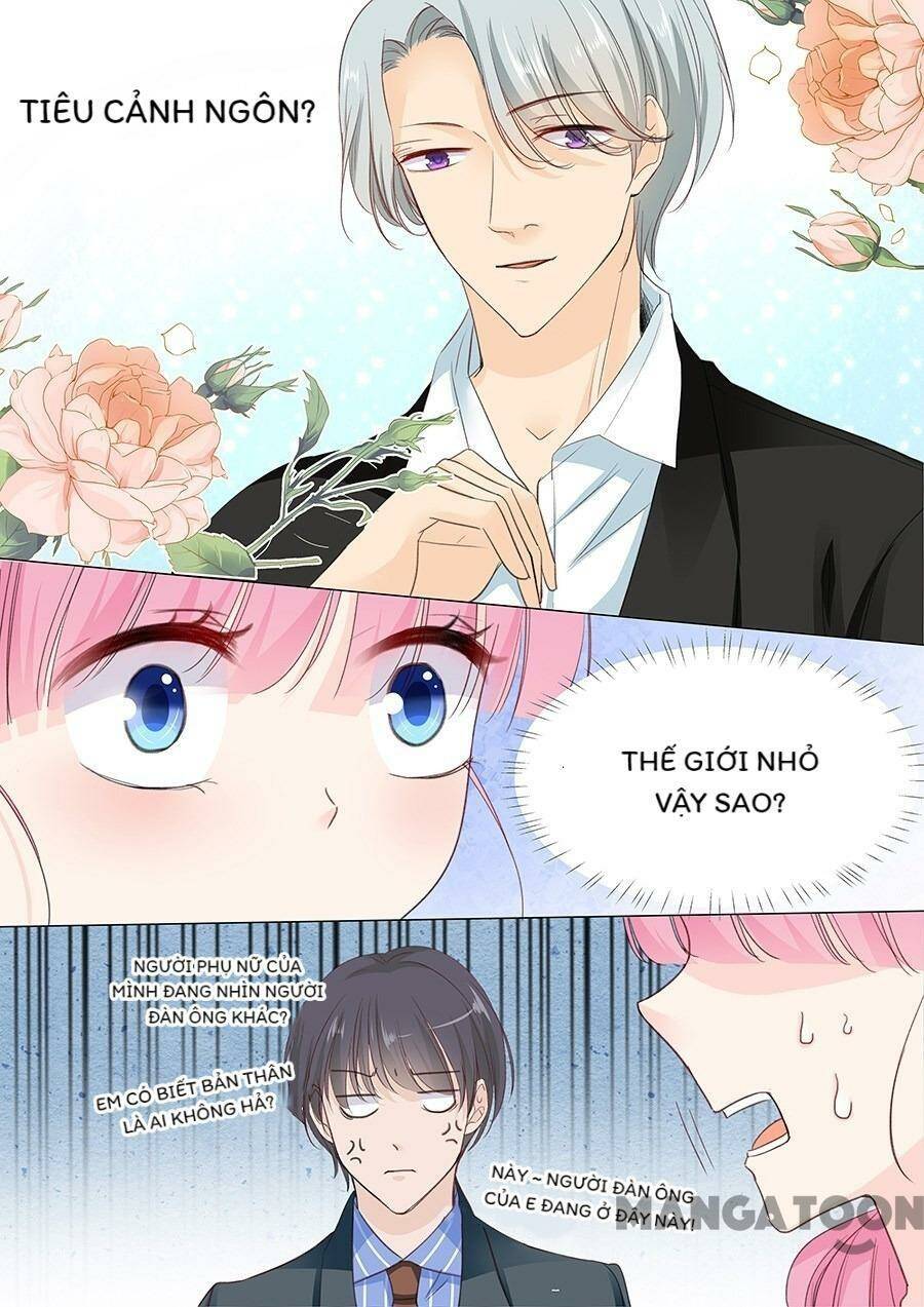 Đế Thiếu Đừng Mạnh Quá Chapter 145 - Trang 2