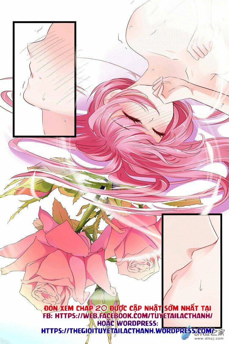 Đế Thiếu Đừng Mạnh Quá Chapter 19 - Trang 2