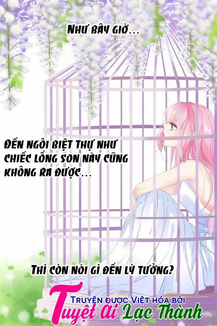 Đế Thiếu Đừng Mạnh Quá Chapter 29 - Trang 2