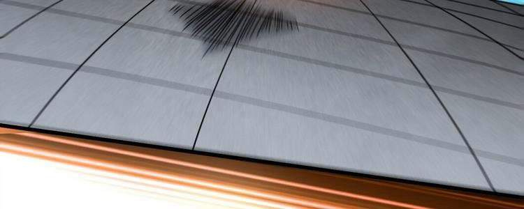 Đệ Tử Của Ta Đều Là Súp Bờ Thần Chapter 119 - Trang 2