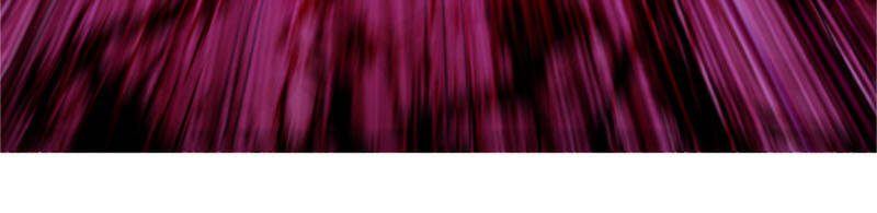 Đệ Tử Của Ta Đều Là Súp Bờ Thần Chapter 84 - Trang 2