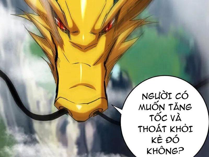 Đệ Tử Tu Luyện Còn Ta Thì Lười Biếng Chapter 110 - Trang 2