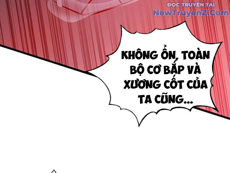 Đệ Tử Tu Luyện Còn Ta Thì Lười Biếng Chapter 174 - Trang 2