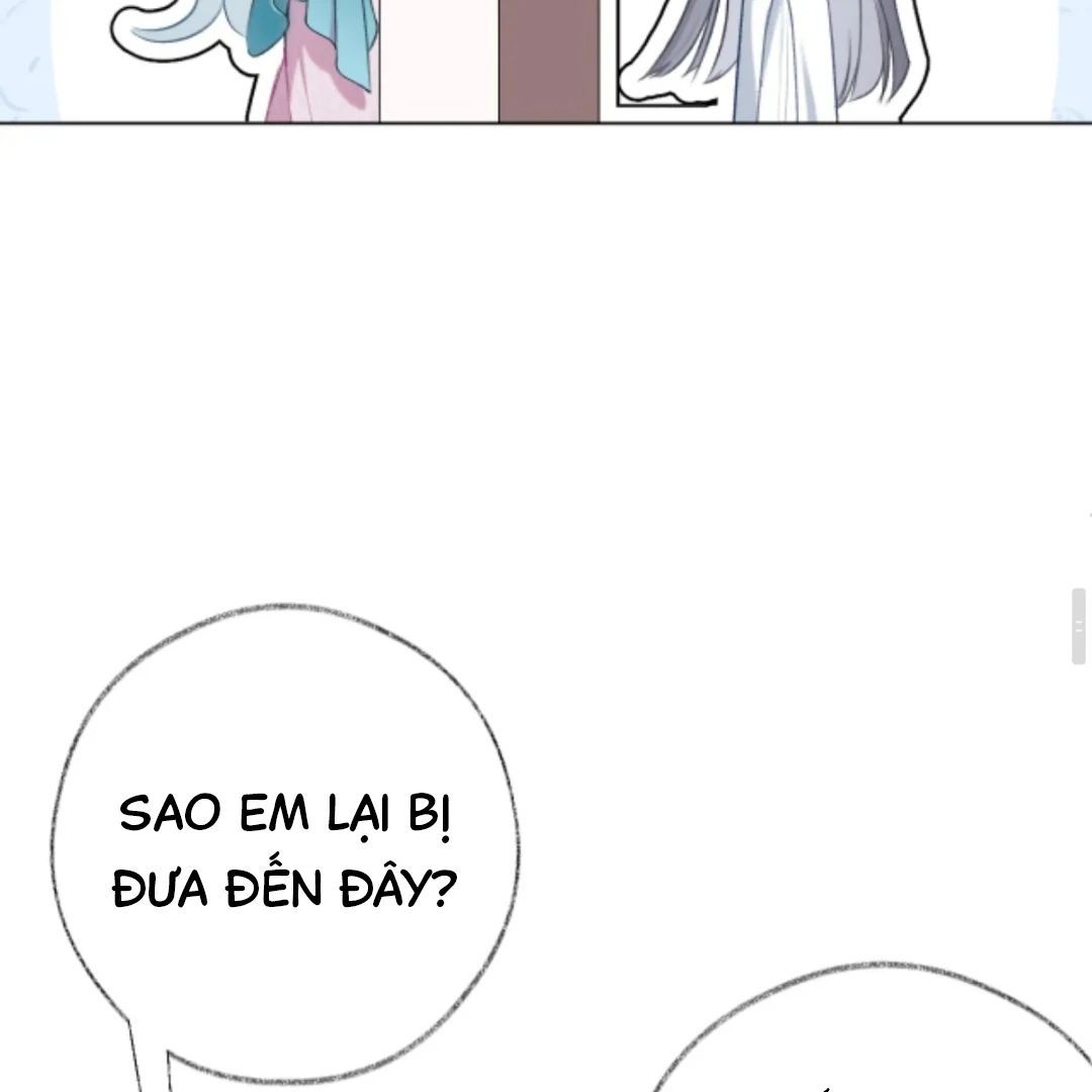Decibel Nhịp Tim Chapter 14 - Trang 2